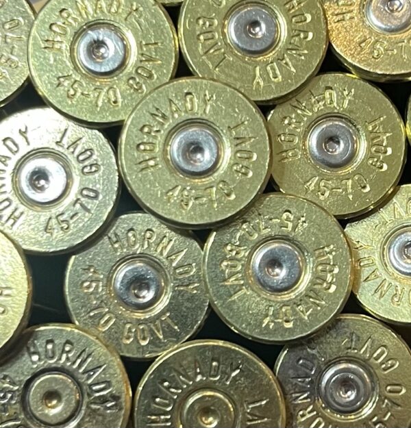 45 70 gov't (hornady)